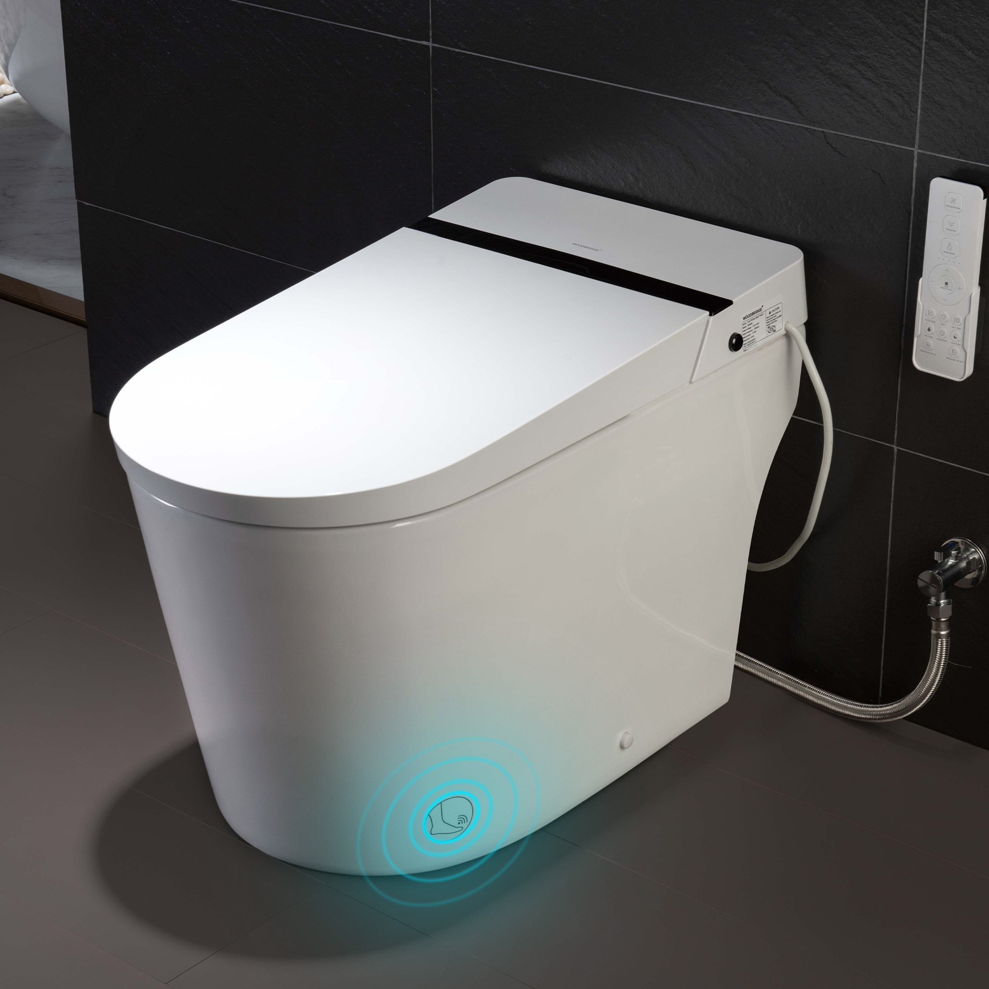 Smart Toilet