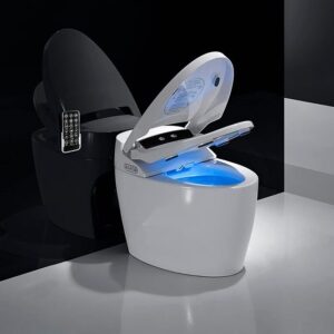 Smart Toilet