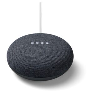 Google Nest Mini